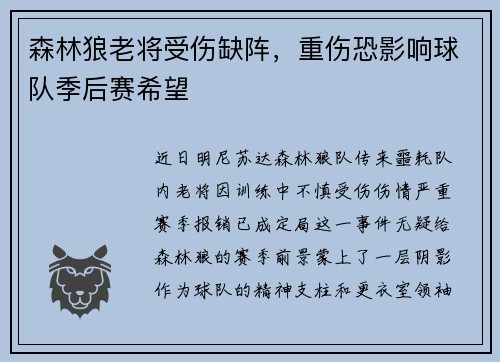 森林狼老将受伤缺阵，重伤恐影响球队季后赛希望