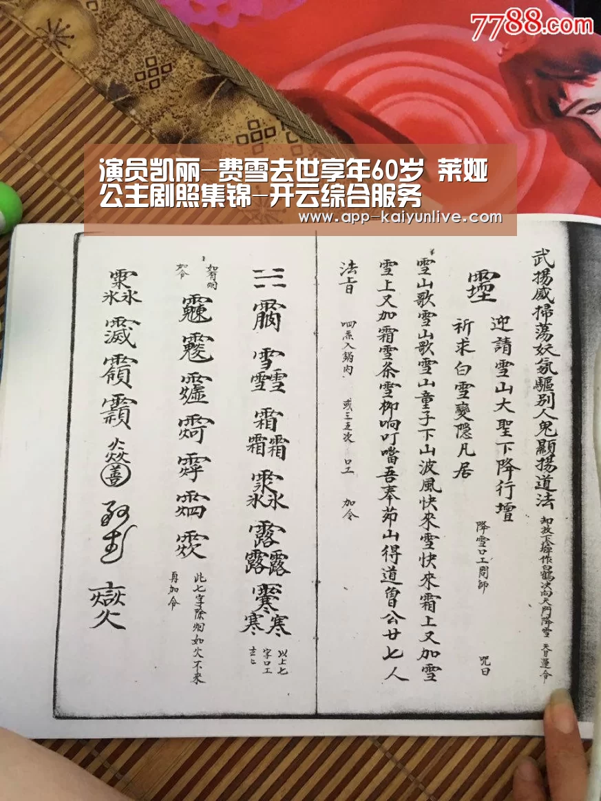 开云综合服务